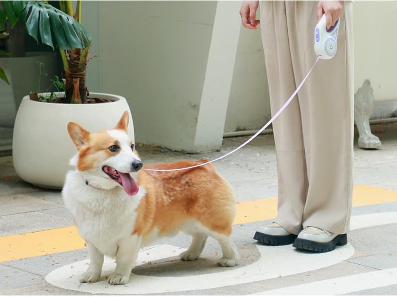 Nueva Correa Ergonómica Con Luz Led Para Mascotas