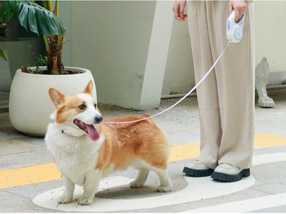Nueva Correa Ergonómica Con Luz Led Para Mascotas